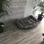 Jeannette Ideal Fuer Geschaeftsreisende, Wlan Und Rechnung Moeglich Apartament *