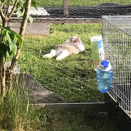 Jeannette Apartamento