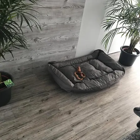 Jeannette דירה *