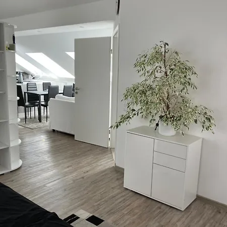 Apartamento Jeannette Ideal Fuer Geschaeftsreisende, Wlan Und Rechnung Moeglich Balingen