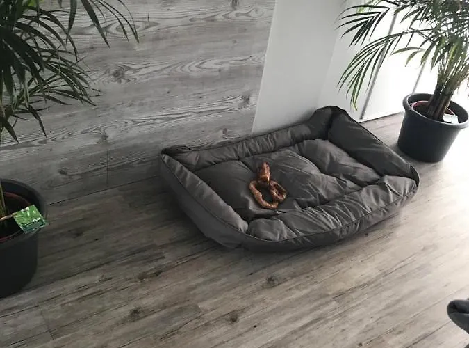 Jeannette דירה *